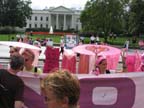 IMG_0009
